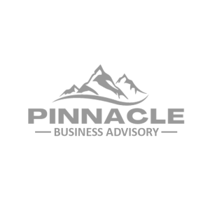 Pinnacle Business Advisory - Gray Logo